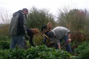 Forest Gardening at Middlewood, Halloween 09